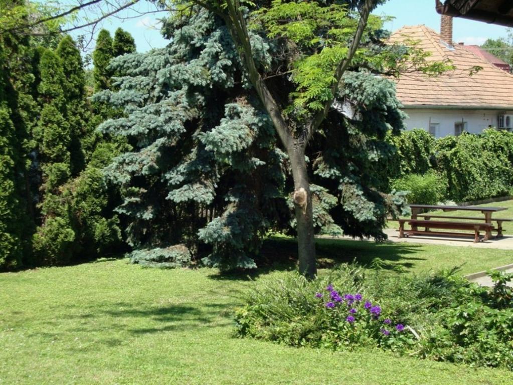 Gyongyvirag Vendeghaz Apartment Balatonboglár Екстериор снимка